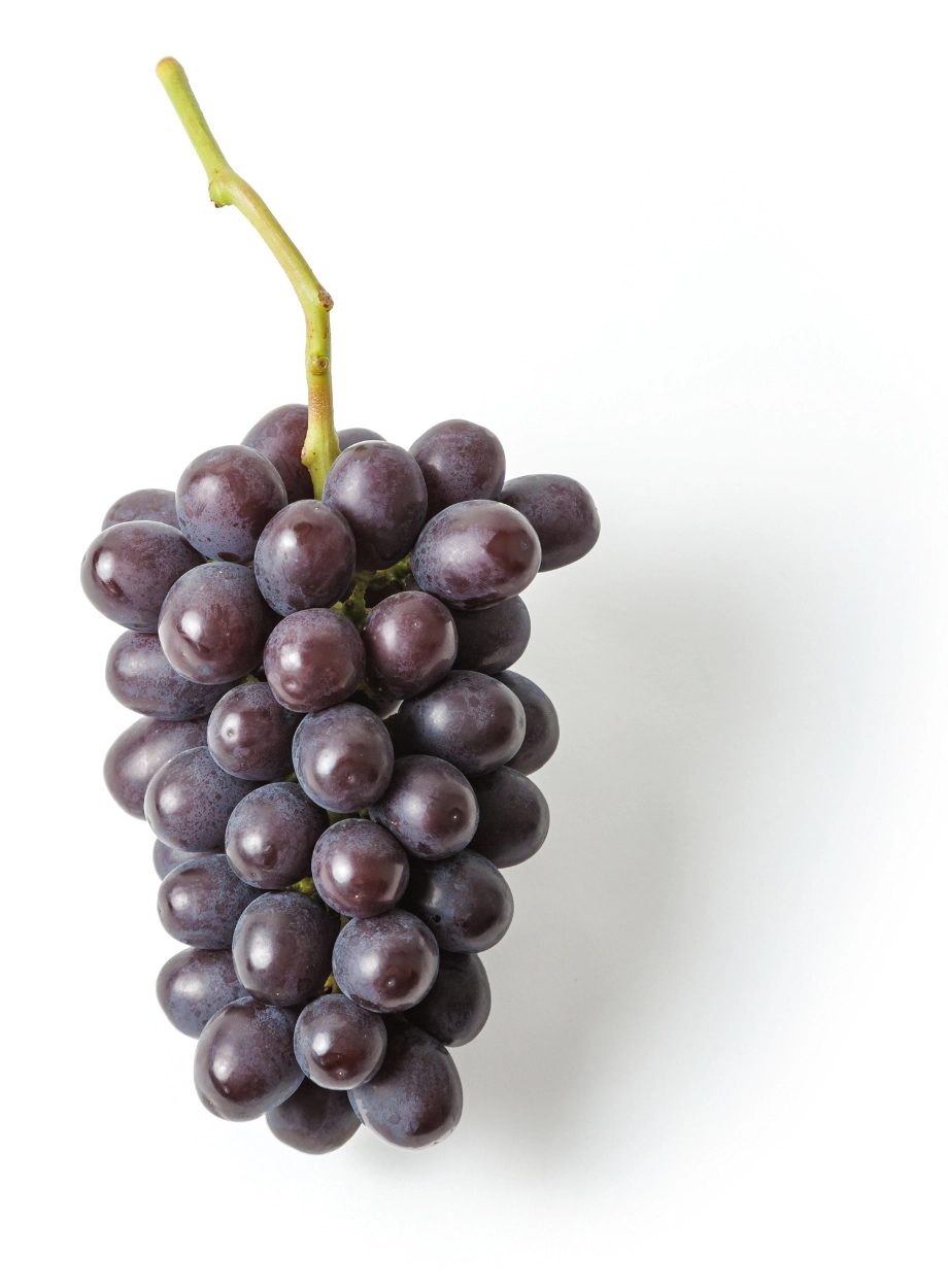 マスカットノワール