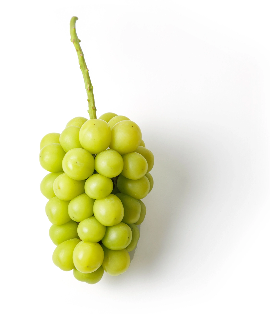 シャインマスカット