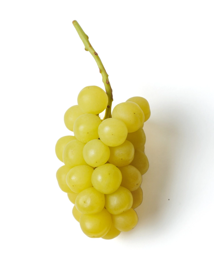 マスカサーティーン